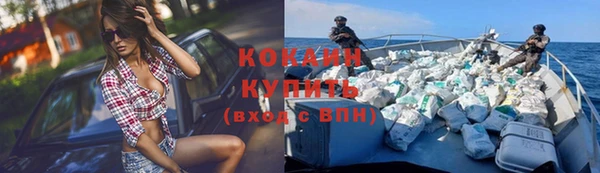 крисы Галич