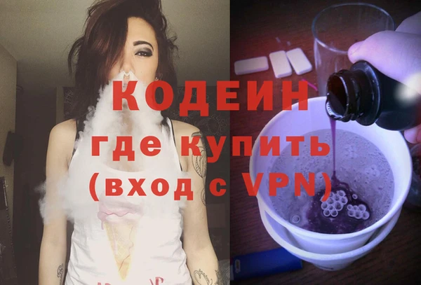 крисы Галич
