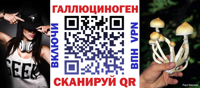 Галлюциногенные грибы Psilocybine cubensis  кракен рабочий сайт  Гудермес  купить наркоту 
