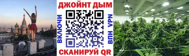 Каннабис MAZAR  как найти закладки  Гудермес 